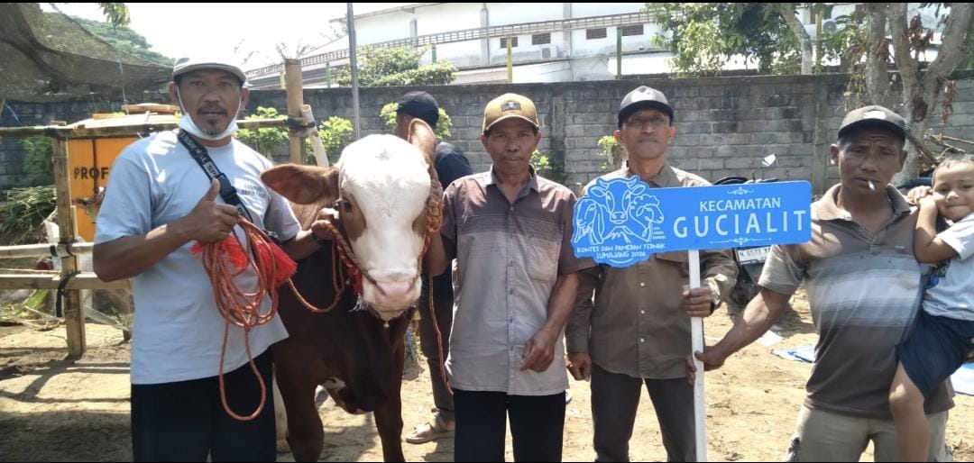 Camat Gucialit Hadiri Kegiatan Kontes Ternak 